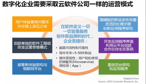 数字化浪潮下，服务贸易企业如何以数字内容服务构建核心竞争力？十大战略建议