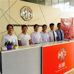 易车信息技术咨询服务 驱动汽车行业数字化升级的引擎